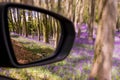 Beautiful spring bluebells field in the mirror