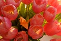 Beautiful spring bouquet of light red tulip flowers and yellow paper crane between them. Stock Photo Royalty Free Stock Photo