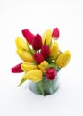 Beautiful spring bouquet of yellow and red tulip flowers in glas jar in the garden covered with snow. Royalty Free Stock Photo