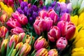 Beautiful spring bouquets of flowers, tulips, background Royalty Free Stock Photo