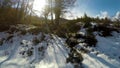 Beautiful spring comes mountain landscape with forest drops of melting snow