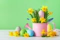 Beautiful spring composition with colorful Easter eggs, spring daffodil flowers and green grass Royalty Free Stock Photo