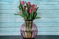 Beautiful spring decoration.Pink purple tulips in glass vase.Fresh tulip flowers bouquet in front of blue wall.View with copy Royalty Free Stock Photo