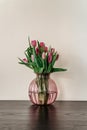 Beautiful spring decoration.Pink purple tulips in glass vase.Fresh tulip flowers bouquet.View with copy space.Greeting card.Woman Royalty Free Stock Photo