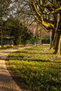 Beautiful spring european park elements close-up