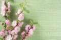 Beautiful spring floral background. Almond pink flower on branch and leaves on green wooden table background.Copy space Royalty Free Stock Photo