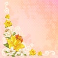 Beautiful spring floral postcard Royalty Free Stock Photo