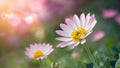 Beautiful spring flower on dreamy fantasy blurred bokeh background