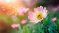 Beautiful spring flower on dreamy fantasy blurred bokeh background