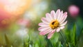 Beautiful spring flower on dreamy fantasy blurred bokeh background