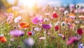 A beautiful spring flower field summer meadow. Natural colorful landscape with many wild flowers of daisies against blue Royalty Free Stock Photo