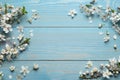 Beautiful spring flowers as borders on light blue wooden background, flat lay. Space for text
