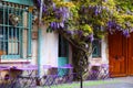 Beautiful spring flowers at the Au Vieu Paris D`Arcole cafe in Paris