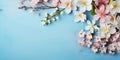 Beautiful spring flowers bouquet in pastel blue colors top view. Spring flowers. Copy space. Photo texture. Horizontal banner. Ai Royalty Free Stock Photo