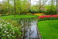 Beautiful spring flowers near pond in Keukenhof park in Netherlands Royalty Free Stock Photo