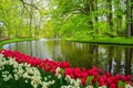 Beautiful spring flowers near pond in Keukenhof park in Netherlands