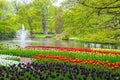 Beautiful spring flowers near pond in Keukenhof park in Netherlands