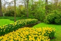 Beautiful spring flowers near pond in Keukenhof park in Netherlands Royalty Free Stock Photo