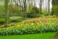 Beautiful spring flowers near pond in Keukenhof park in Netherlands Royalty Free Stock Photo