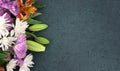 Beautiful Spring Flowers Over Blackboard Background Royalty Free Stock Photo