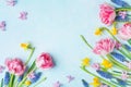 Beautiful spring flowers on pastel blue table top view. Greeting card for International Women Day. Flat lay Royalty Free Stock Photo