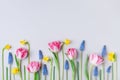 Beautiful spring flowers on pastel table top view. Greeting card for International Women Day. Flat lay Royalty Free Stock Photo