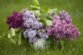 Beautiful spring flowers. purple lilac in white vase on grass green background Royalty Free Stock Photo