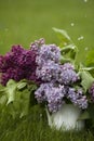 Beautiful spring flowers. purple lilac in white vase on grass green background Royalty Free Stock Photo