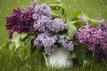 Beautiful spring flowers. purple lilac in white vase on grass green background Royalty Free Stock Photo