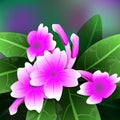 Beautiful spring flowers purple ruellia. Cards or your design with space for text.