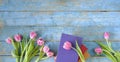 beautiful spring flowers, row of pink tulips flowers with books on wooden blue background, concept, flat lay, negative space,free Royalty Free Stock Photo