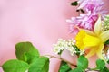 Beautiful spring flowers or sommer white of apple or bird cherry, daffodil, lilac or purple aster on a pink background