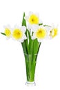 Beautiful spring flowers in vase: yellow-white narcissus (Daffodil)