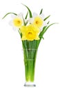 Beautiful spring flowers in vase: yellow-white, orange narcissus Royalty Free Stock Photo