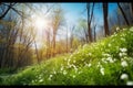 Beautiful spring forest background nature with blooming glade, trees and blue sky on a sunny day. Generative AI. Royalty Free Stock Photo