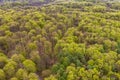 Beautiful spring forest landscape, fresh green leaves on trees in spring, view from drone Royalty Free Stock Photo
