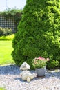 Beautiful spring garden, decorative sleepy stone gnome