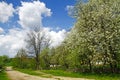 Beautiful spring garden in the old village Royalty Free Stock Photo