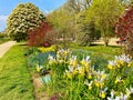 spring in the gardens Jardin des Plantes in Paris Royalty Free Stock Photo