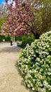 spring in the gardens Jardin des Plantes in Paris Royalty Free Stock Photo