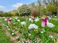 spring in the gardens Jardin des Plantes in Paris Royalty Free Stock Photo