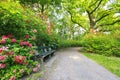 Beautiful spring green park with many flowers Royalty Free Stock Photo