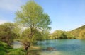 Beautiful spring lake