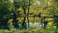 Beautiful spring lake and forest. Springtime season Abstract natural background. Blurry silhouettes of many green spring