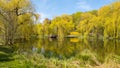 Beautiful spring lake and forest. Springtime season Abstract natural background. Blurry silhouettes of many green spring