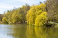 Beautiful spring lake and forest. Springtime season Abstract natural background. Blurry silhouettes of many green spring