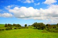 Beautiful Spring landscape Royalty Free Stock Photo