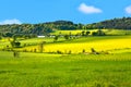 Beautiful, Spring landscape Royalty Free Stock Photo