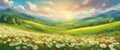 Beautiful spring landscape, blooming daisies, spring yellow, red and white flowers. Panorama of spring green fields, Royalty Free Stock Photo