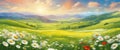 Beautiful spring landscape, blooming daisies, spring yellow, red and white flowers. Panorama of spring green fields, Royalty Free Stock Photo